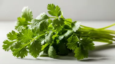 garnishing-instructions-image